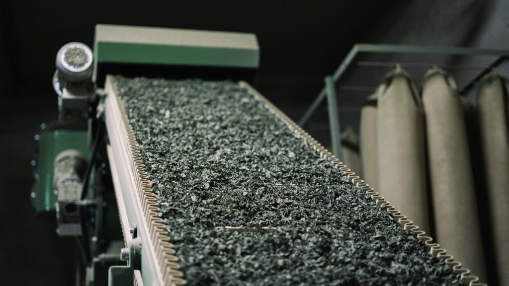 Suszone zioła w zbliżeniu — gotowy produkt Wachowski Herbs o idealnym kolorze i frakcji